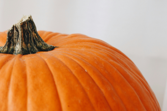 Armenian Bughlama For Collagen Support (Perfect Fall Recipe)