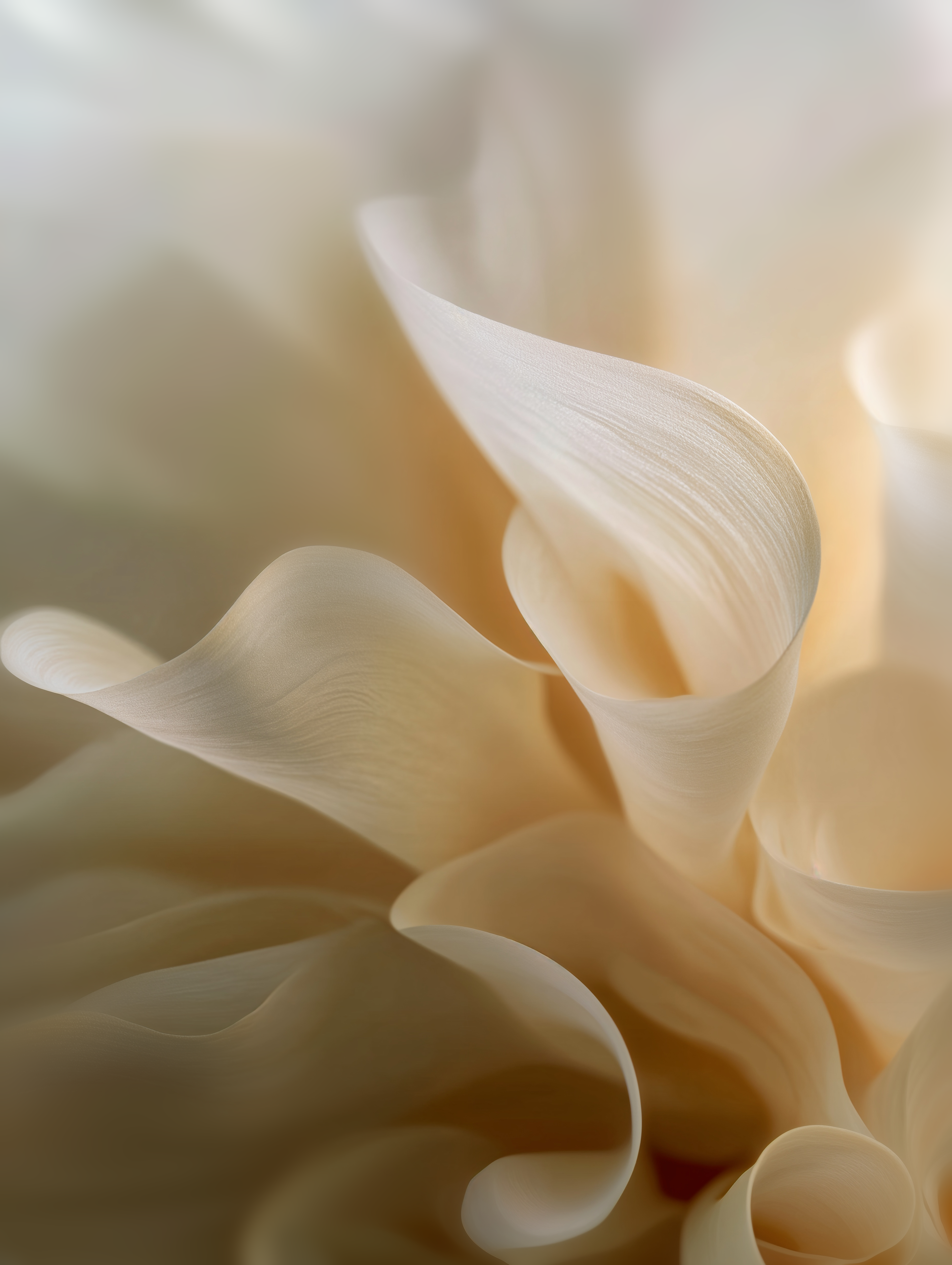 Aging Skin, Fine Lines, And Wrinkles